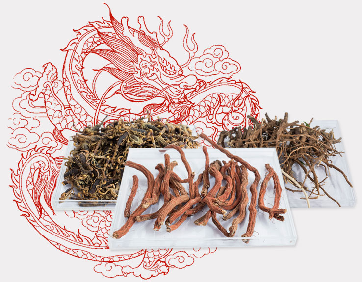 關于我們
